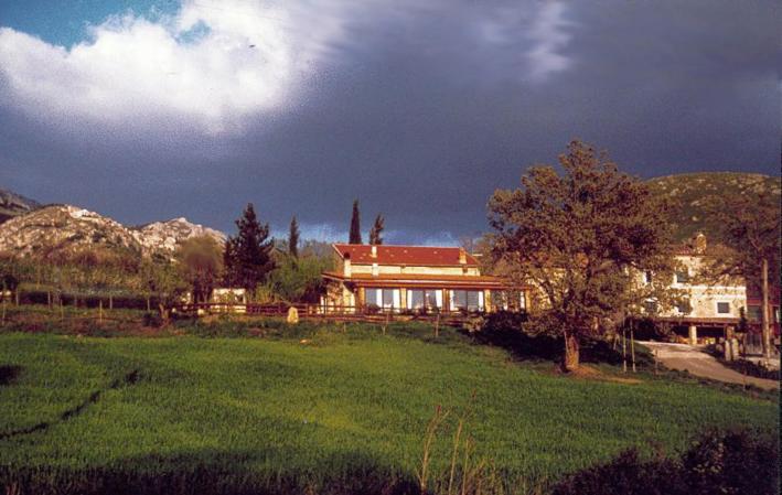 Azienda Agricola Il Querceto