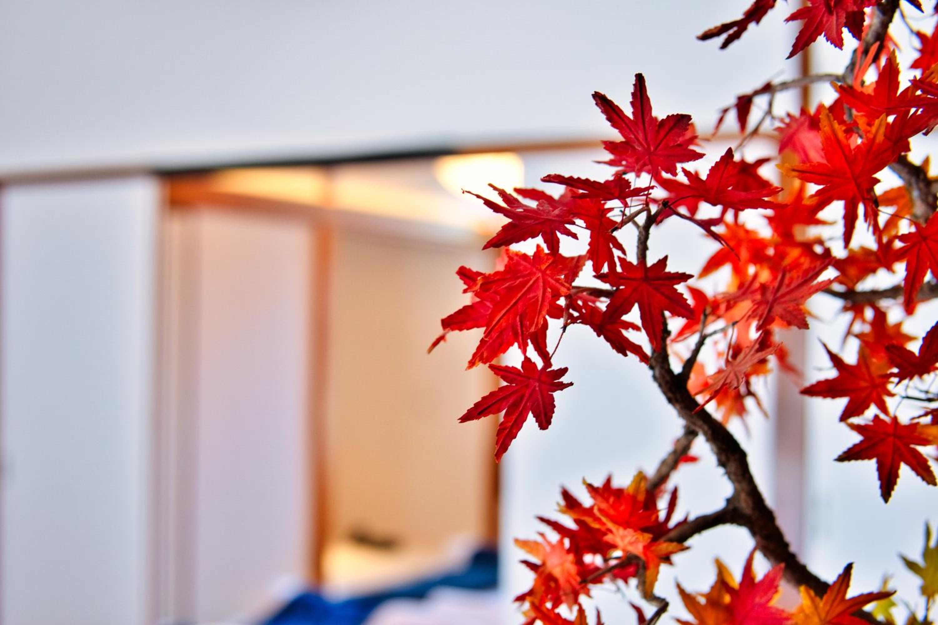 other