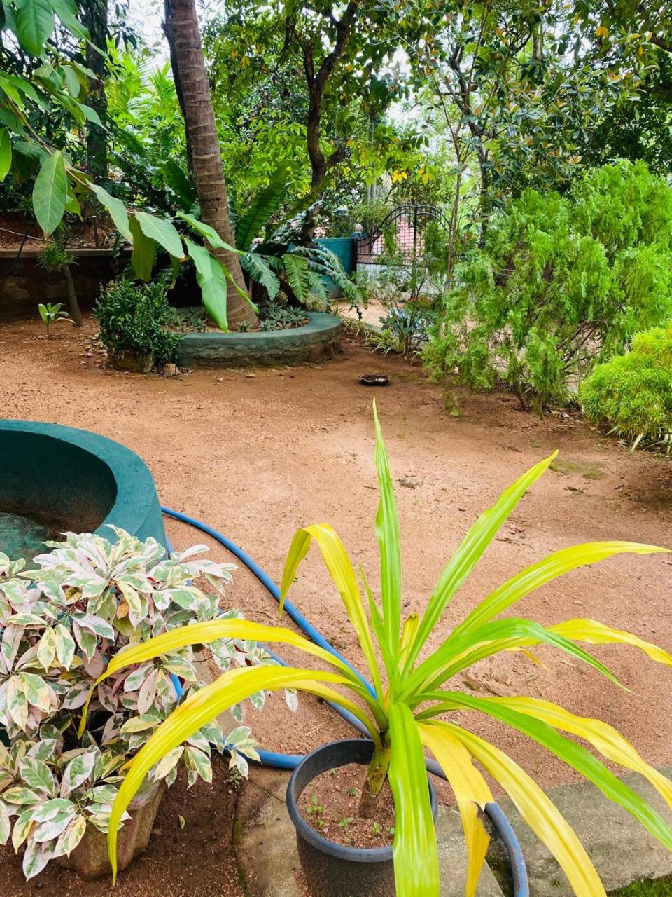 Sithuwama Nature Inn