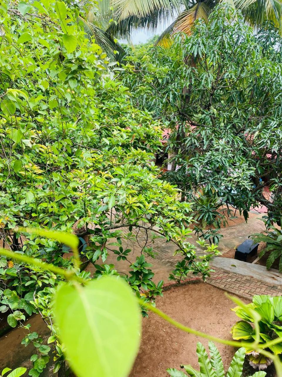 Sithuwama Nature Inn