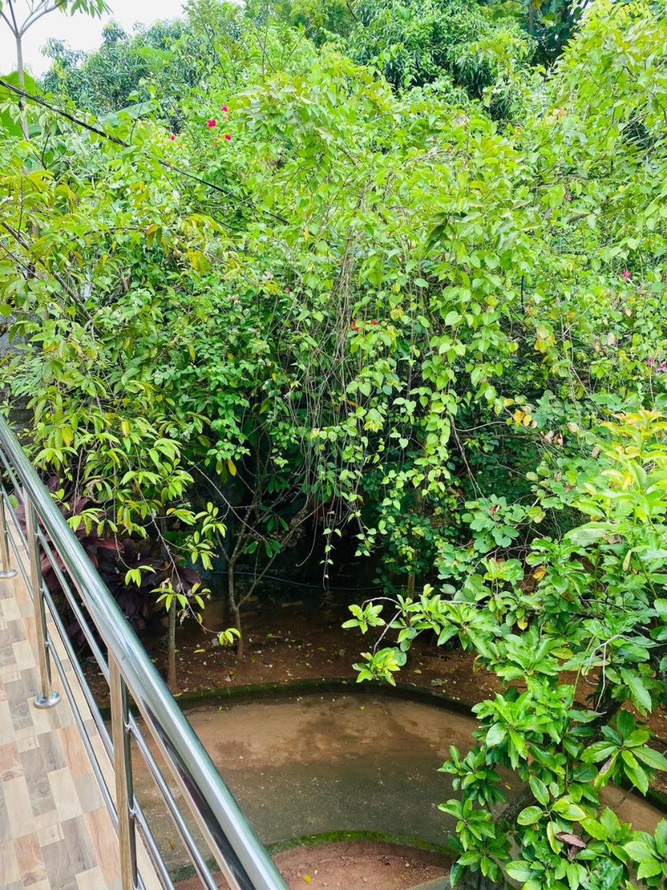 Sithuwama Nature Inn