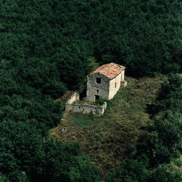 Azienda Agricola Il Querceto