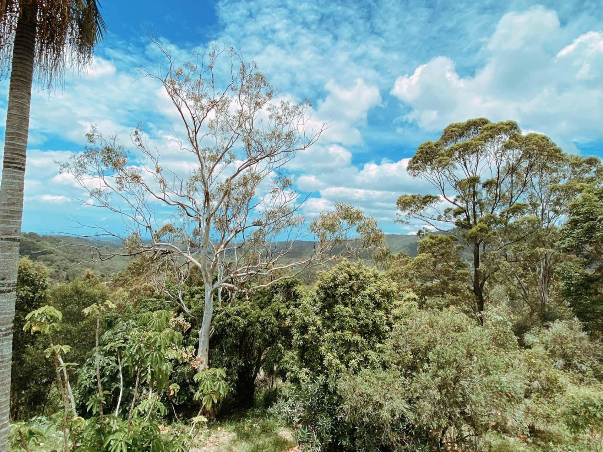 Cockatoo Cabin by Nebesa Nature Retreat