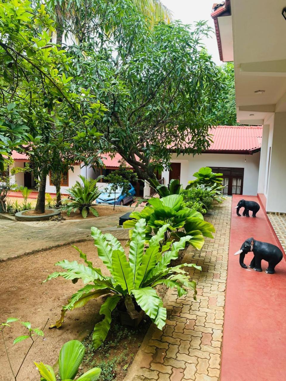 Sithuwama Nature Inn