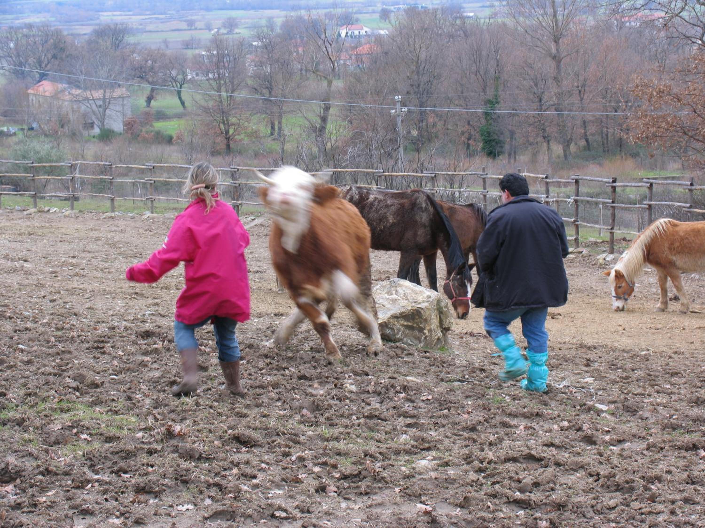 Azienda Agricola Il Querceto