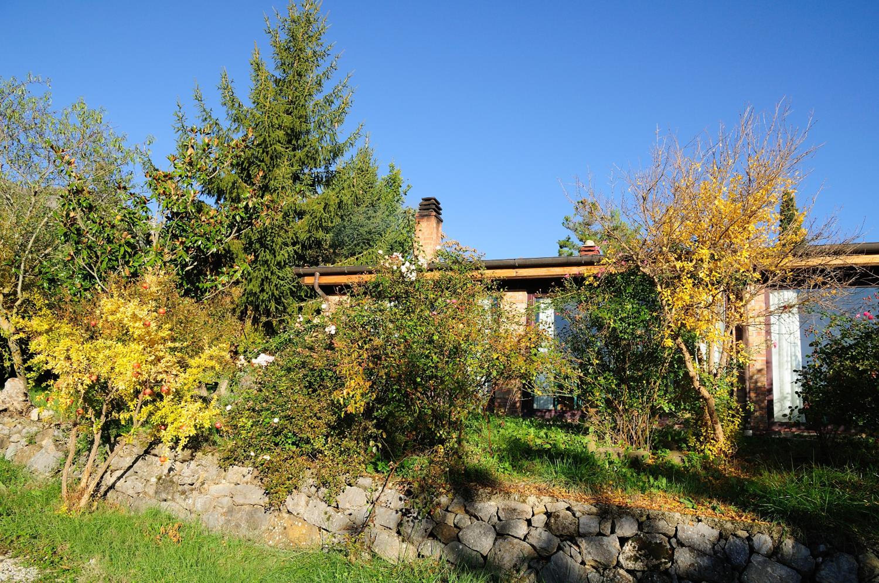 Azienda Agricola Il Querceto