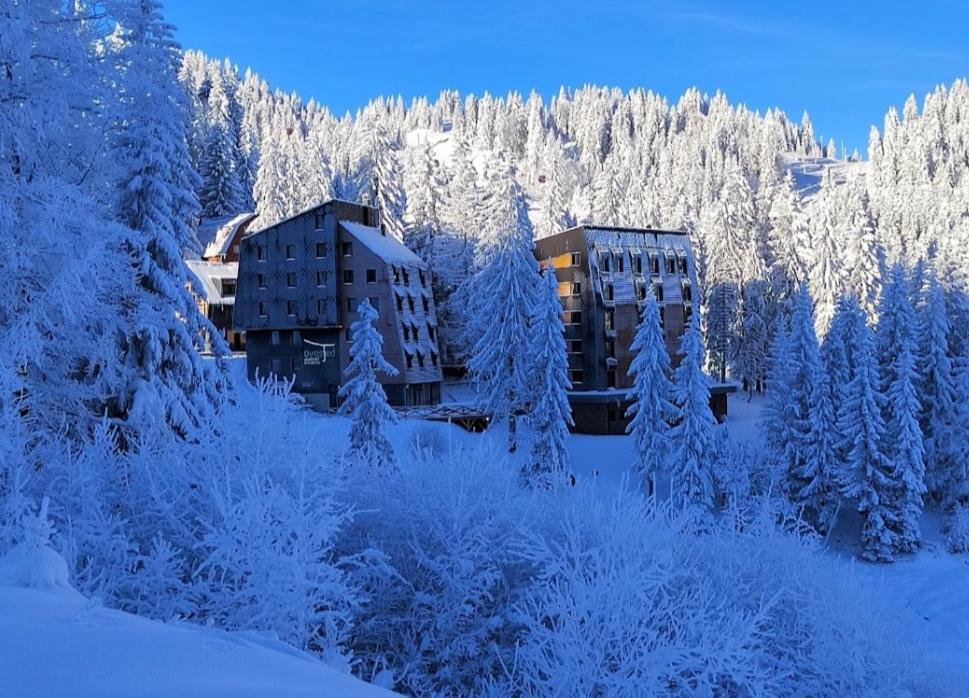 Apartmani Dvosjed