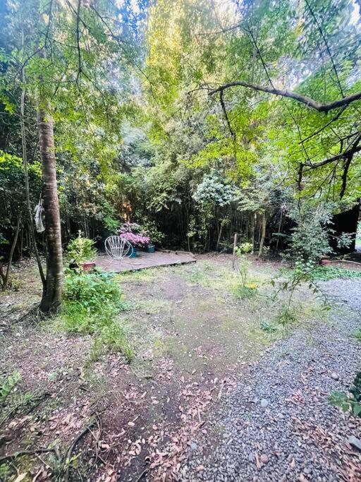 Hermosa Cabaña en el bosque