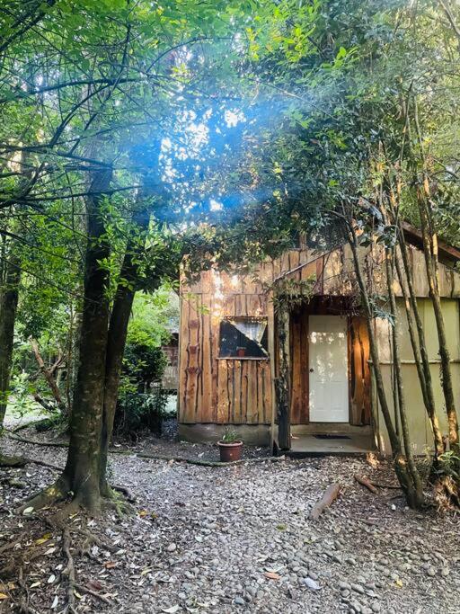 Hermosa Cabaña en el bosque