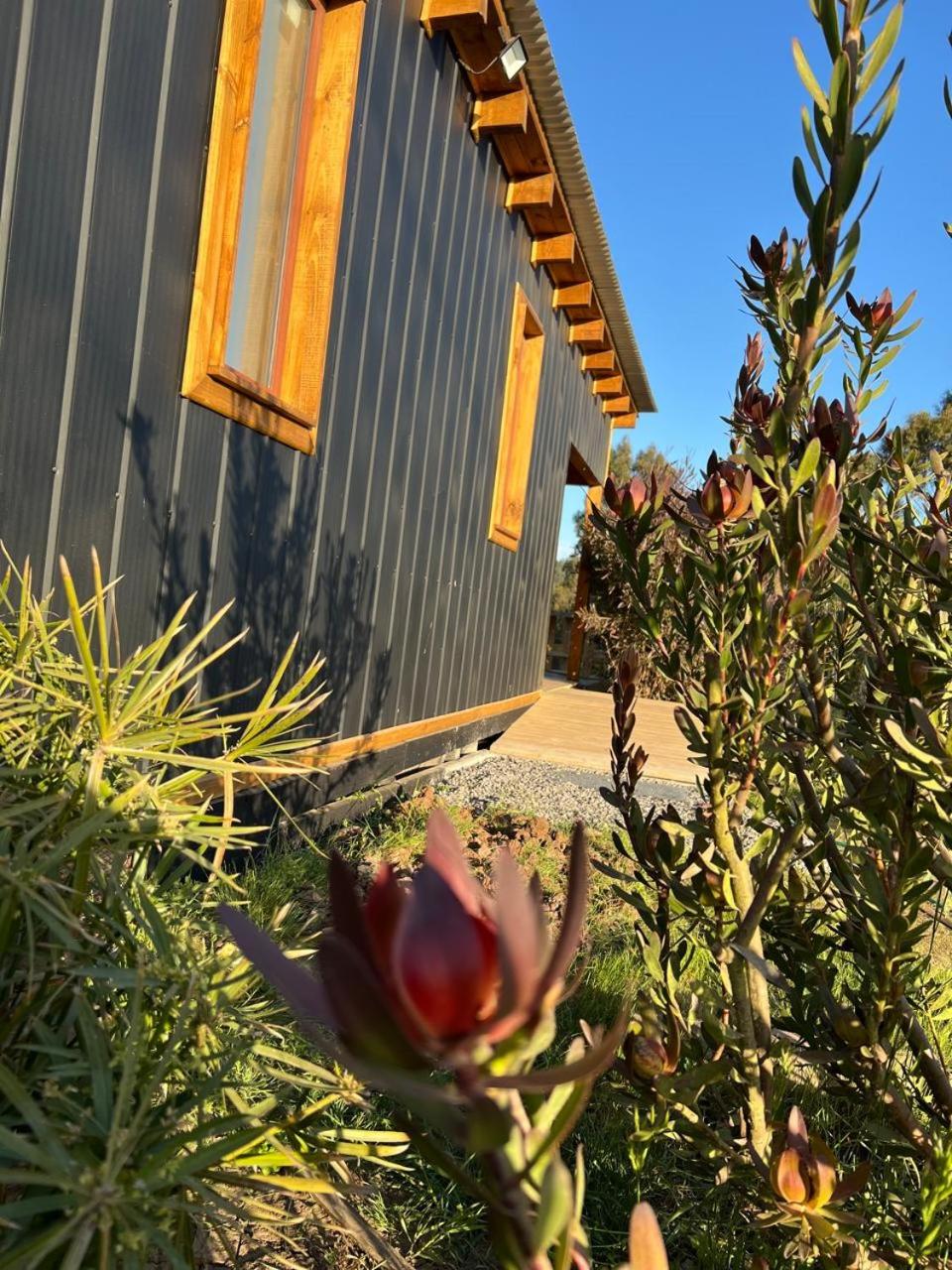 Casa R, Cabaña Pichilemu