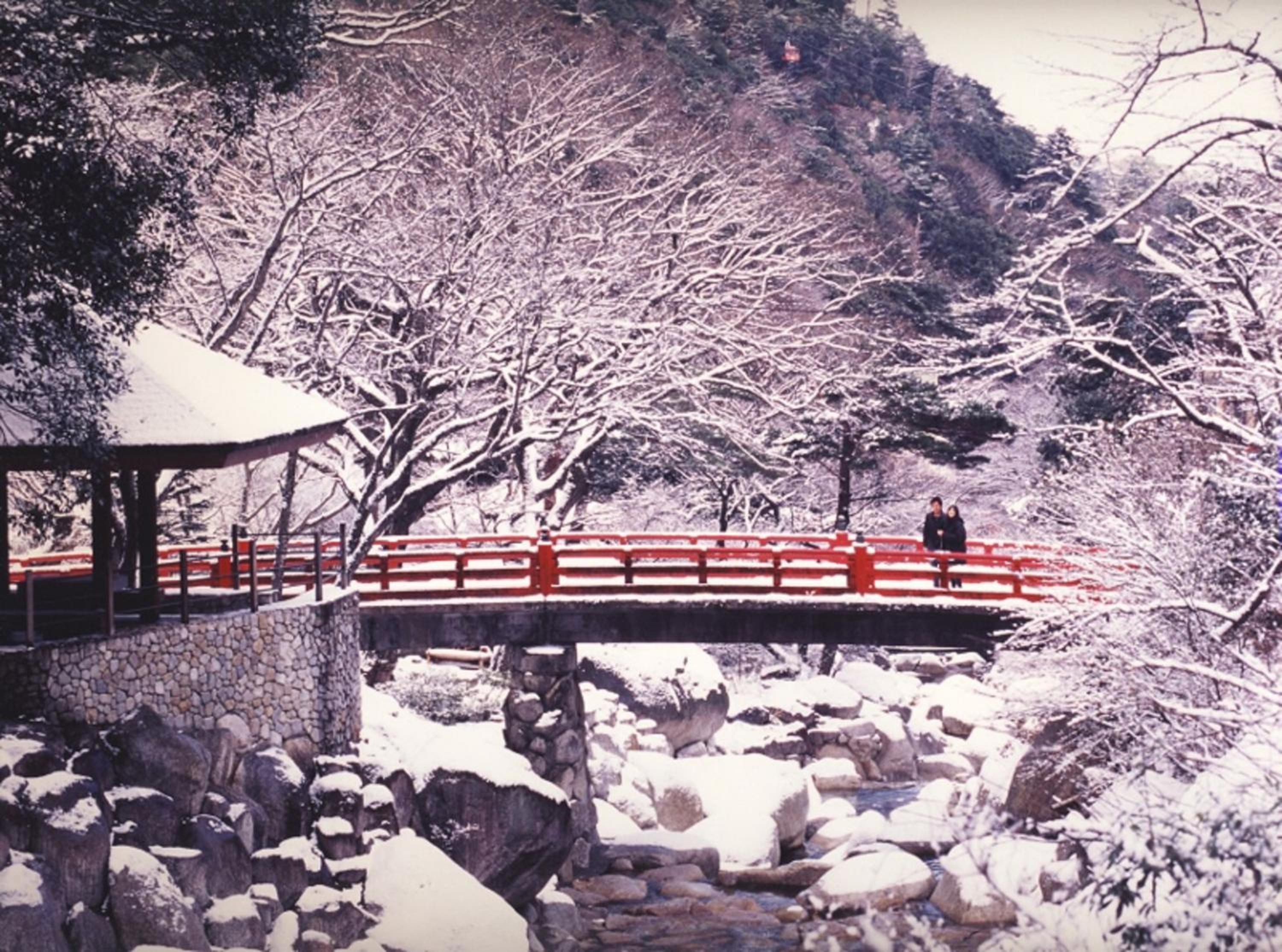 Irodori Koyo