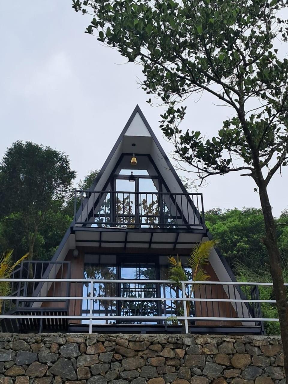 Vagamon forest canopy