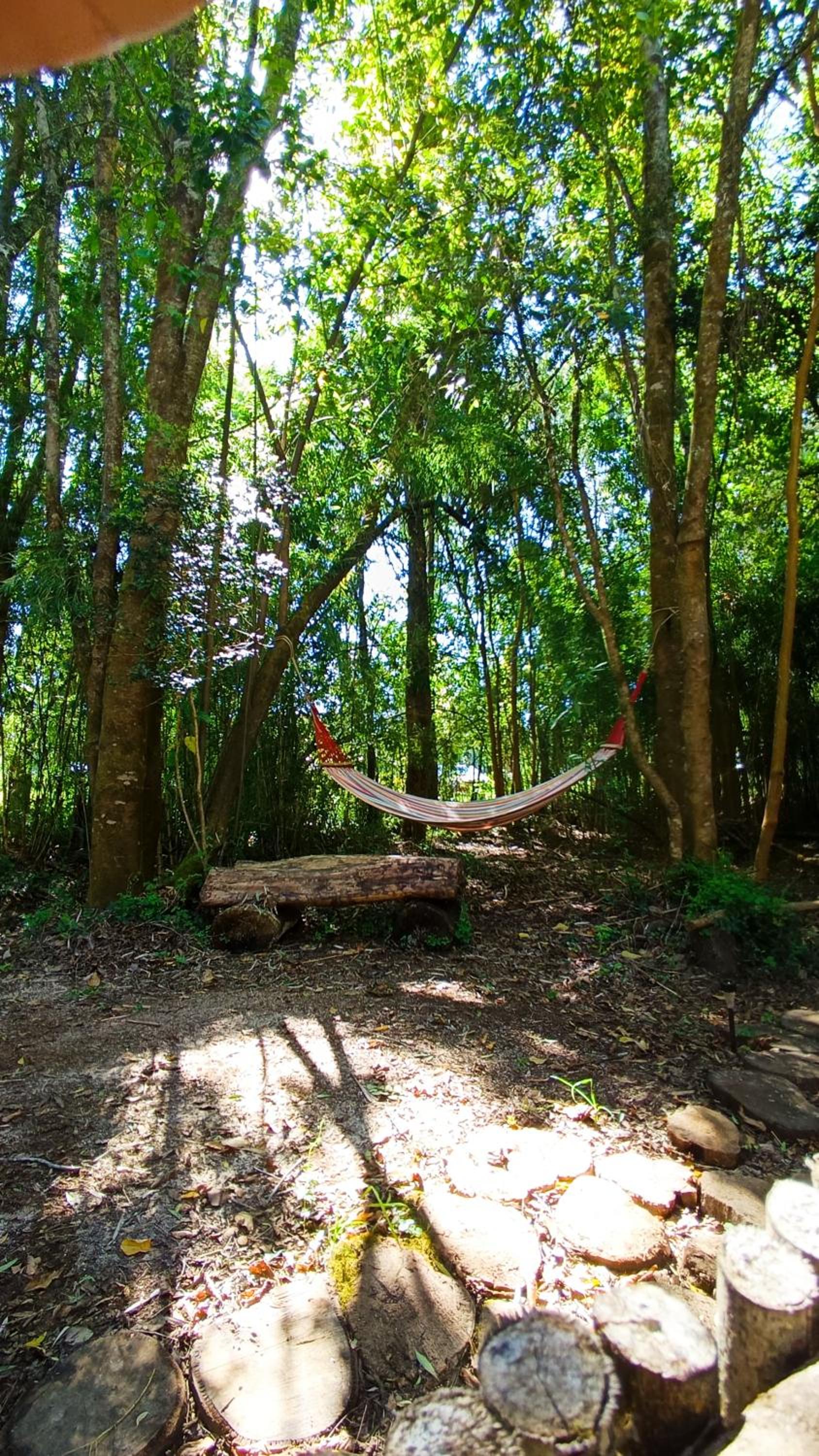 Domo el avellano inmerso en el bosque con tinaja incluida