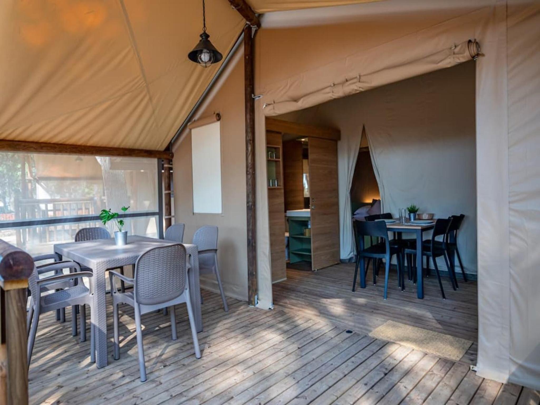 Tent safari savannah with furniture