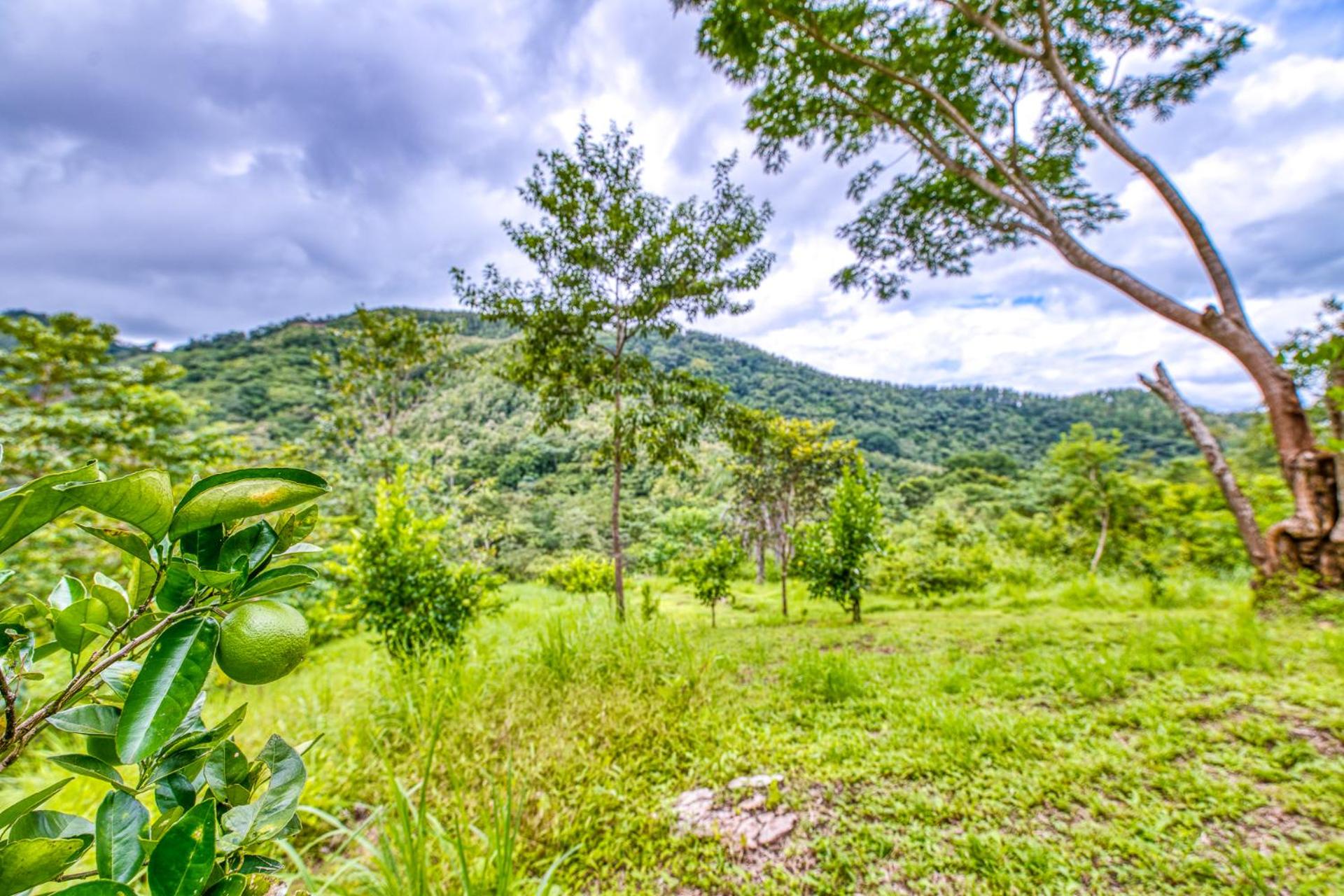 The Retreat at Blue Mountain Farms
