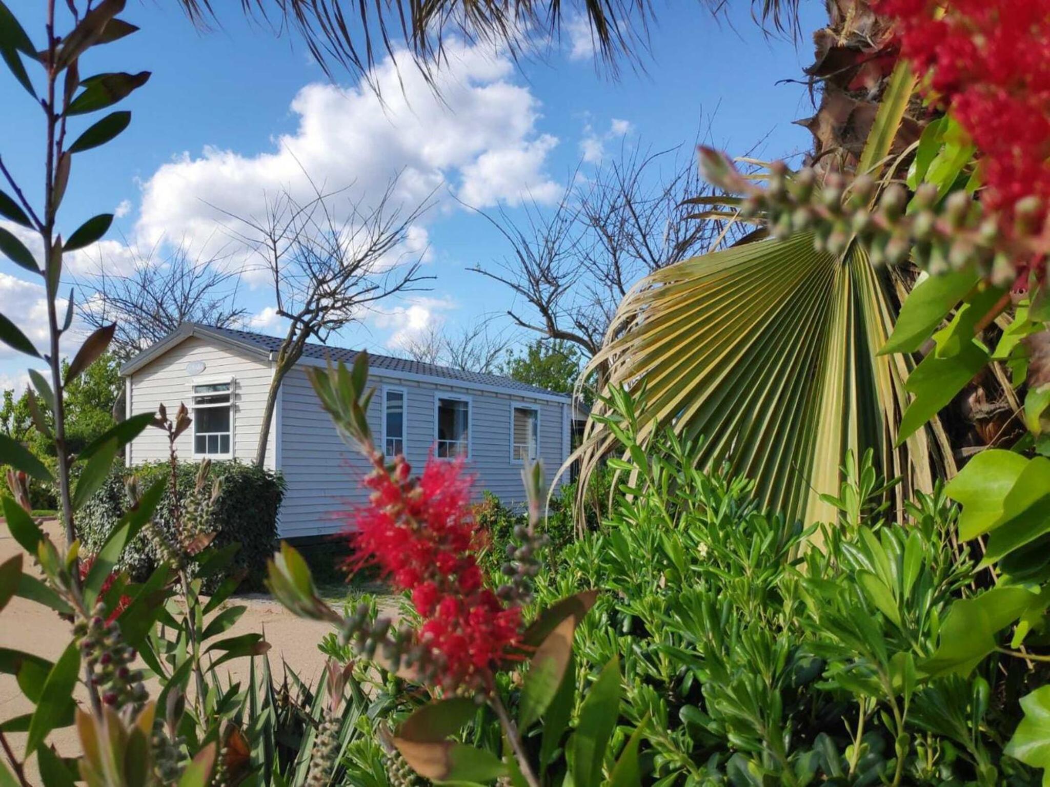 Premium mobile home with terrace