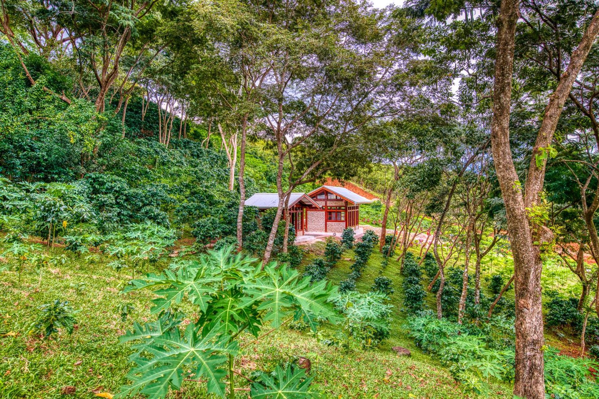 The Retreat at Blue Mountain Farms