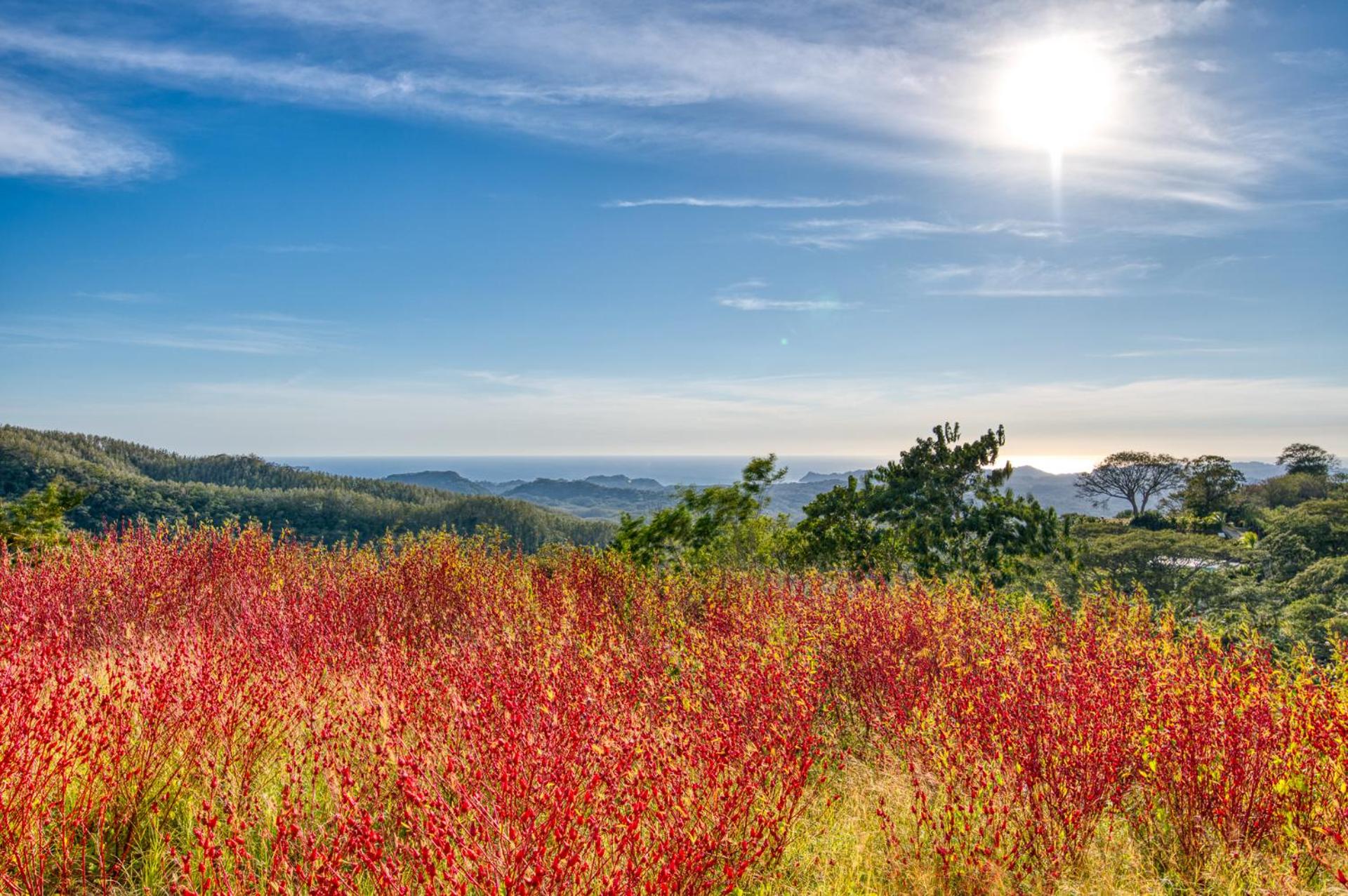 The Retreat at Blue Mountain Farms