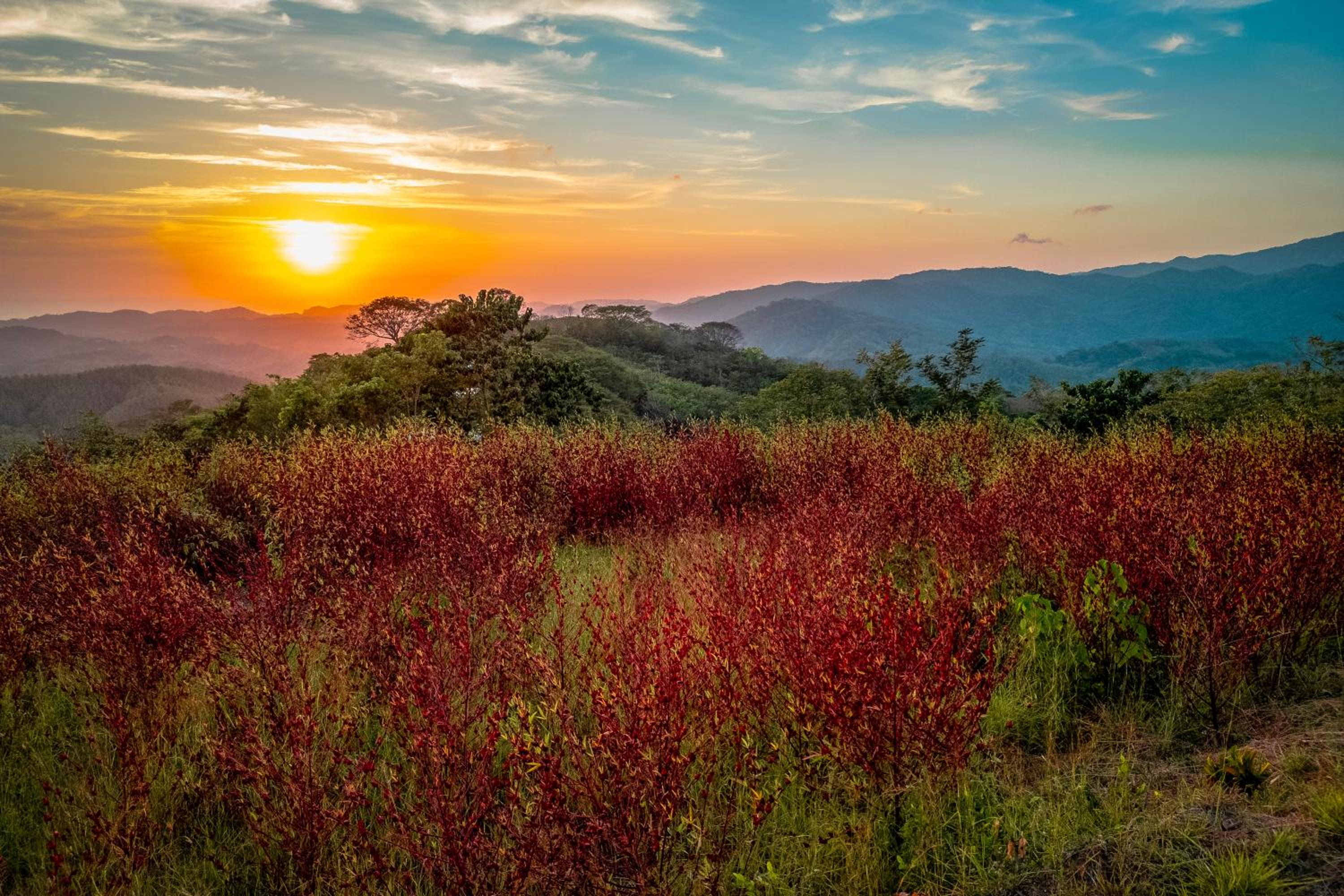 The Retreat at Blue Mountain Farms