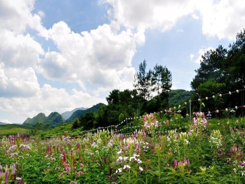 Shaoguan Palace International Resorts