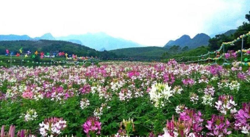 Shaoguan Palace International Resorts