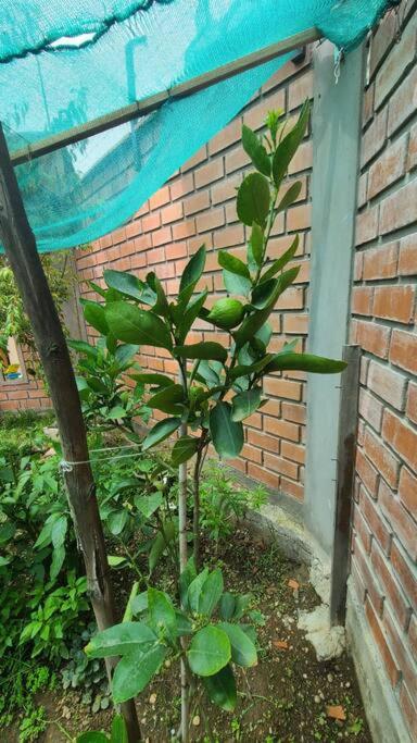 Photo 23