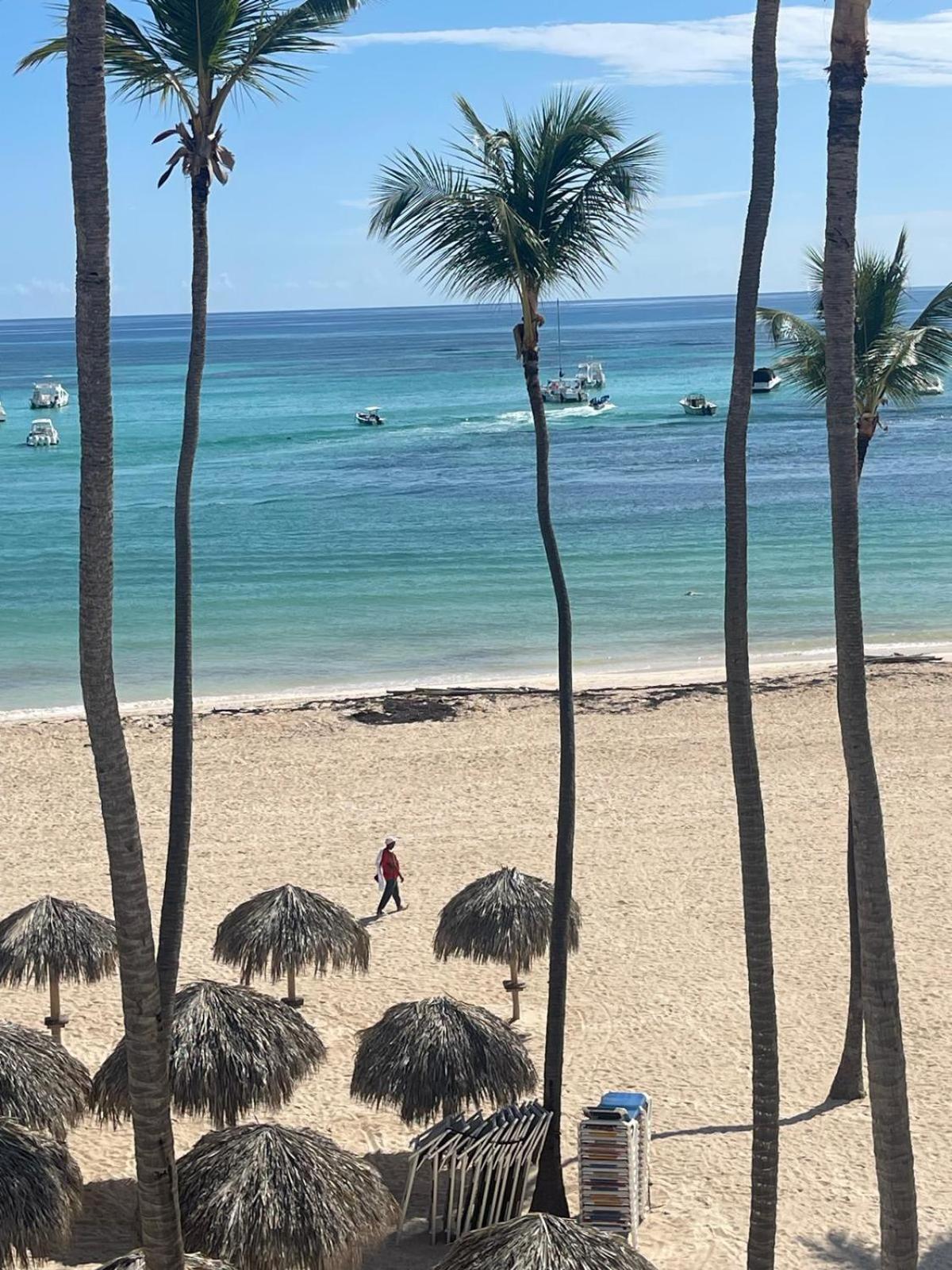Palm Sea View