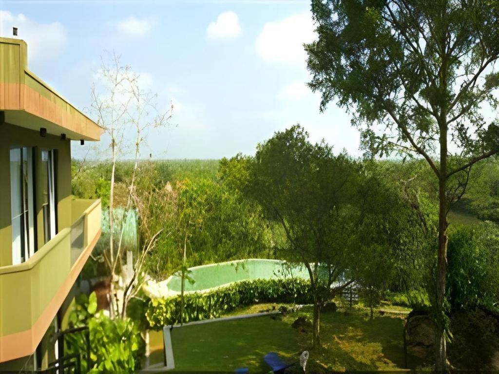 Mangrove Escapes Resort
