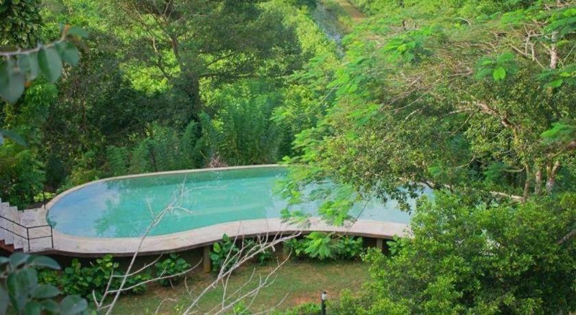 Mangrove Escapes Resort