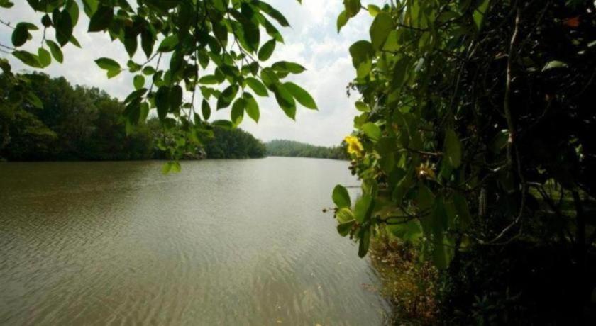 Mangrove Escapes Resort
