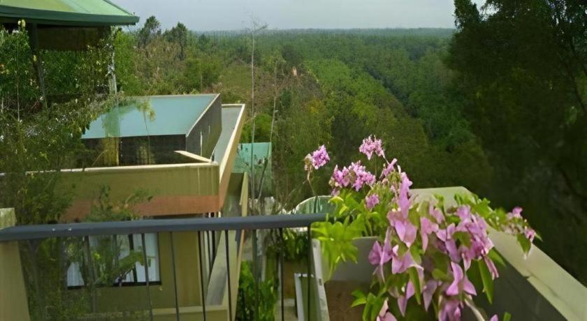 Mangrove Escapes Resort
