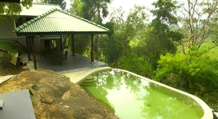 Mangrove Escapes Resort