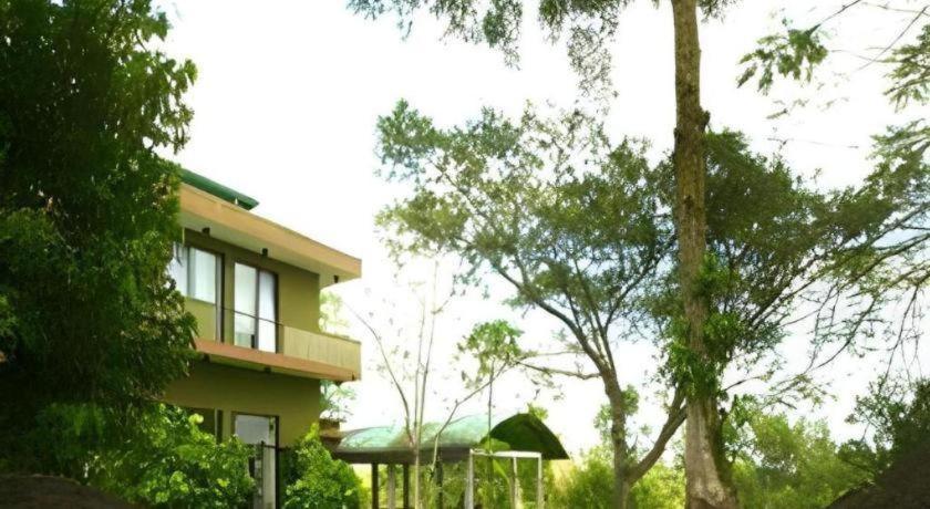 Mangrove Escapes Resort