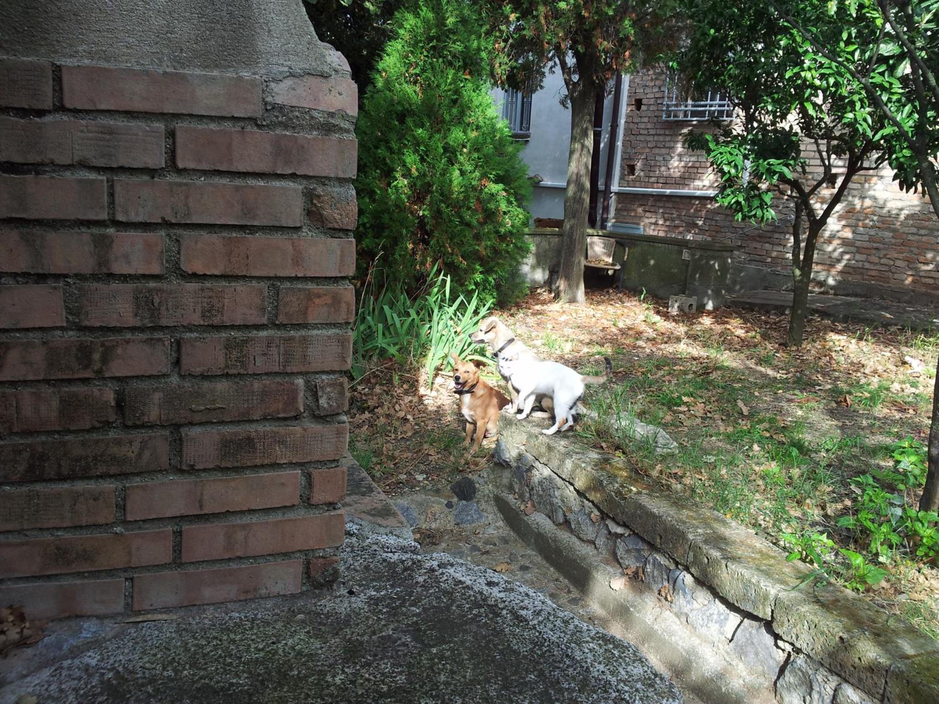 Photo 65