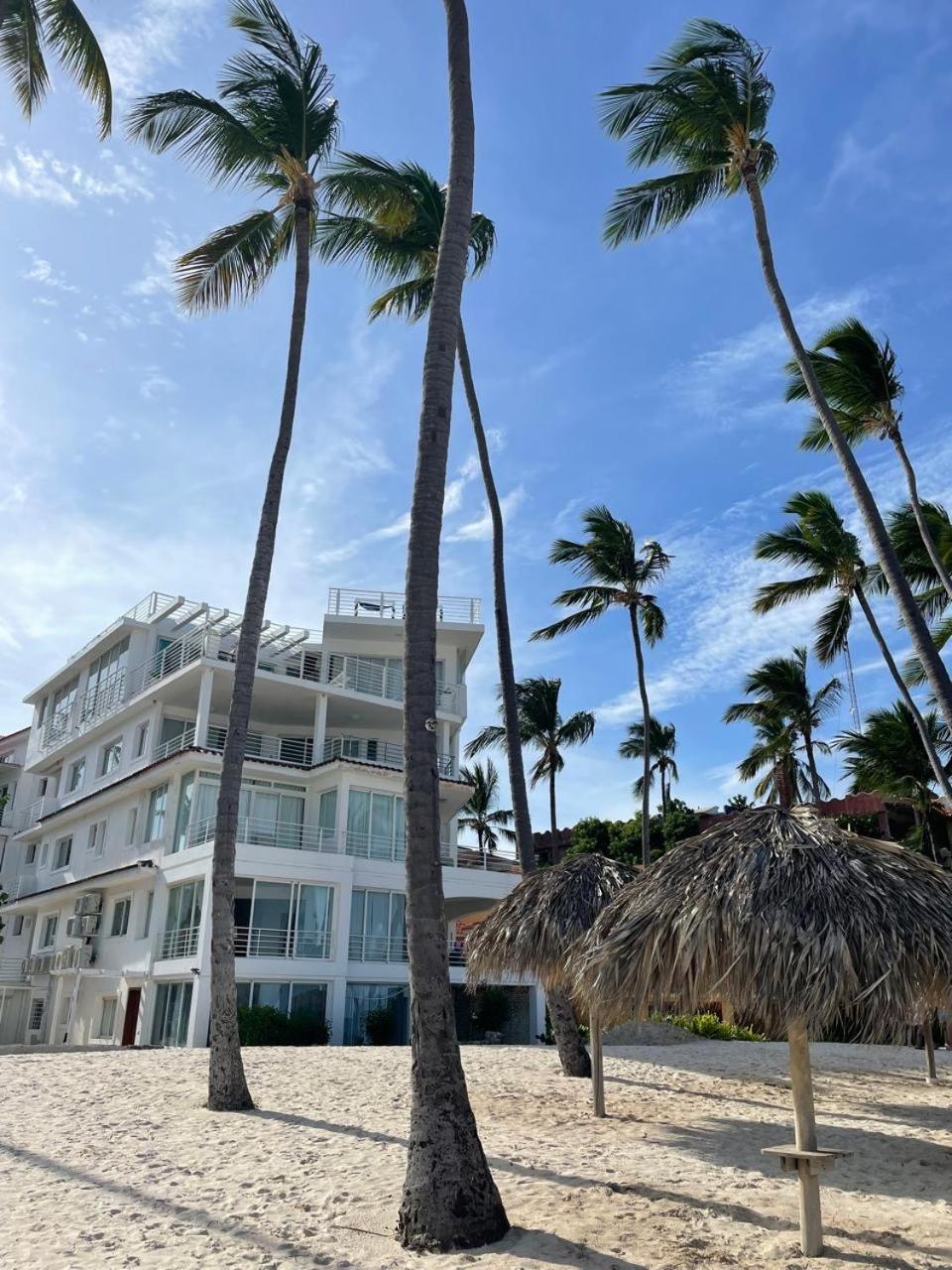 Palm Sea View