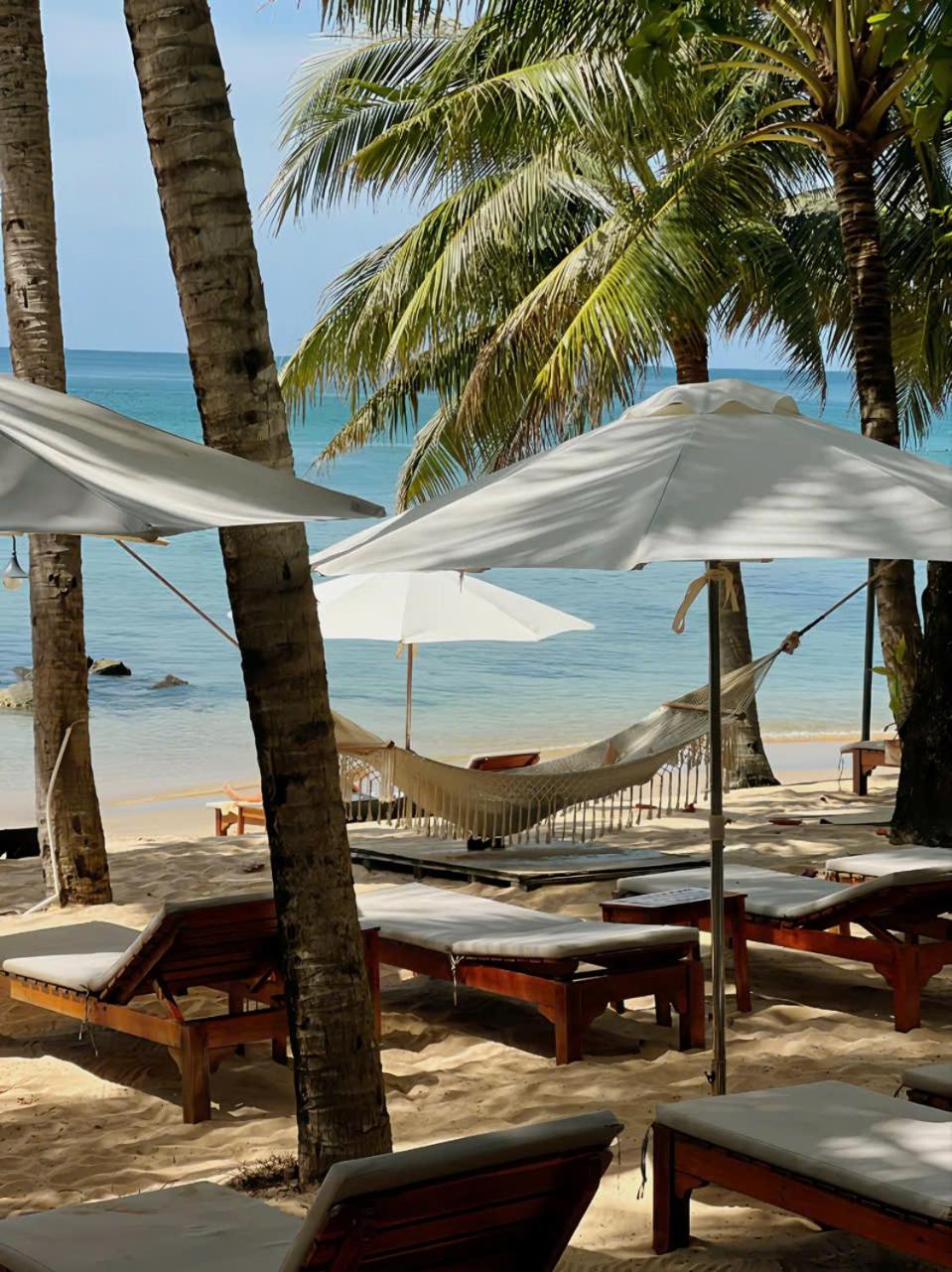 Vida Loca Sunset Beach Resort, photo 126