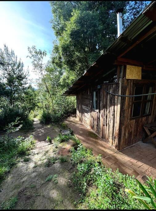 Rest in the forest, Armadillo cabin