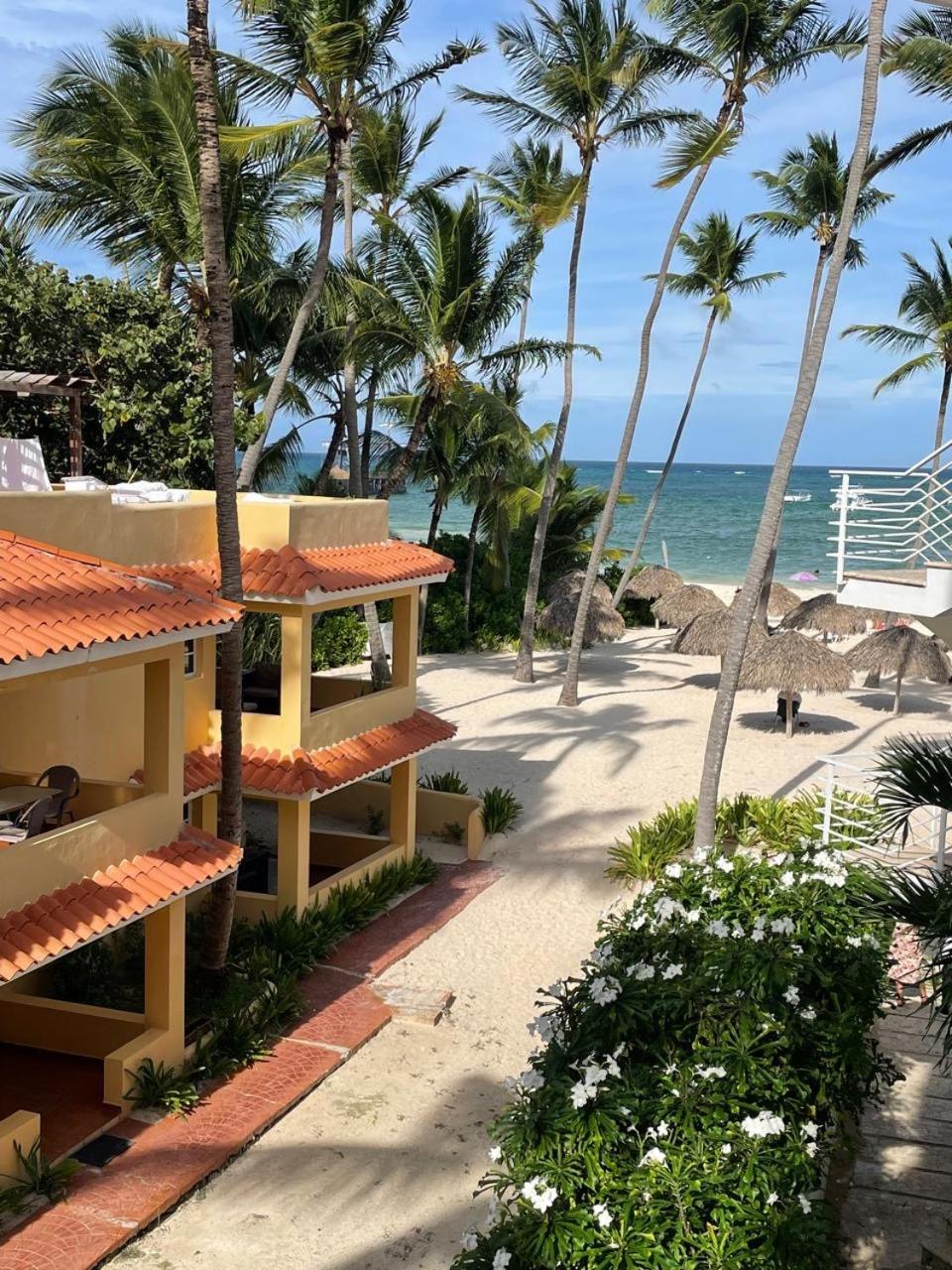 Palm Sea View