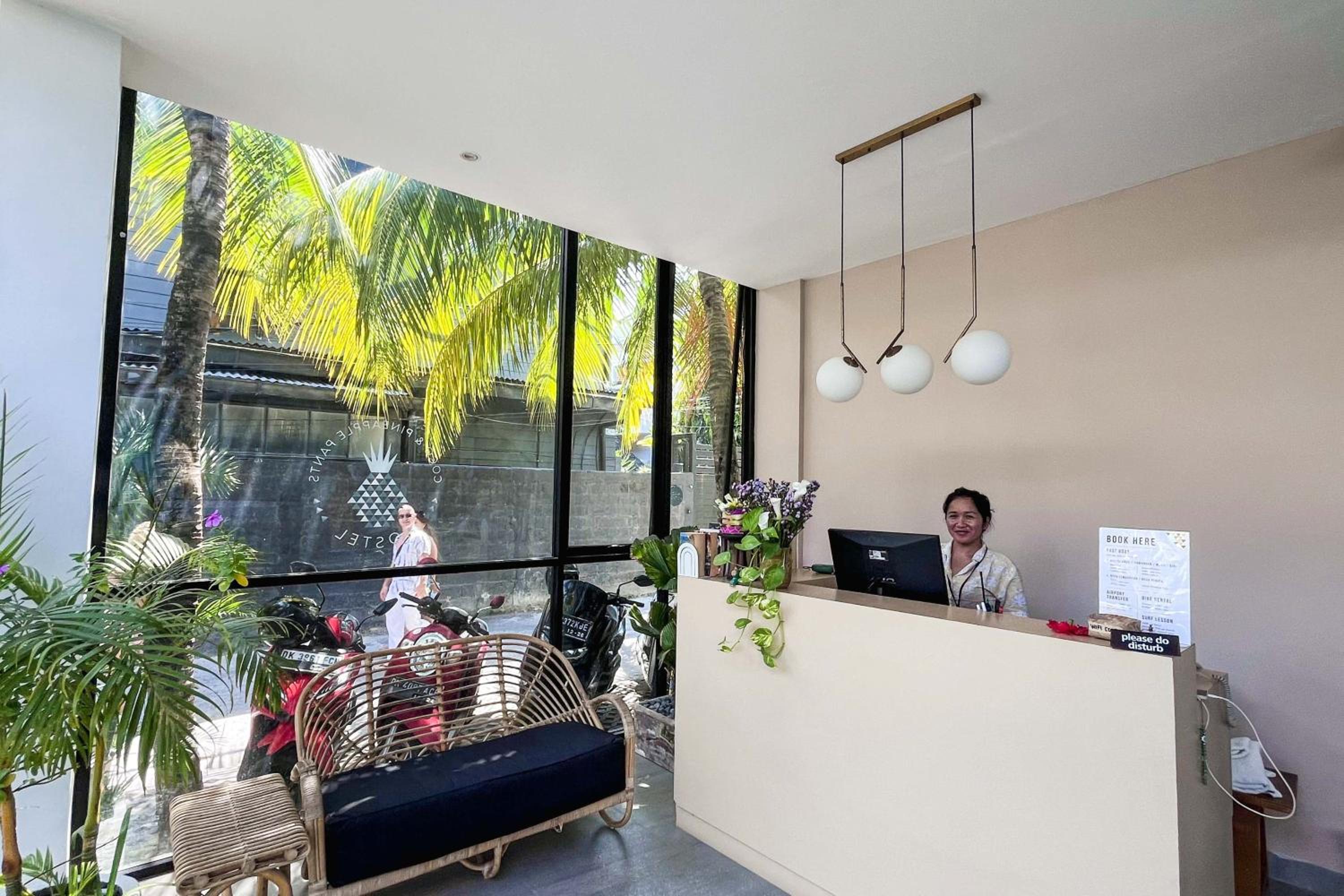 Coco & Pineapple Pants Hostel view 5