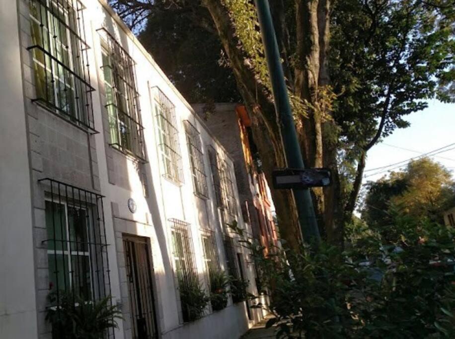 Photo 19