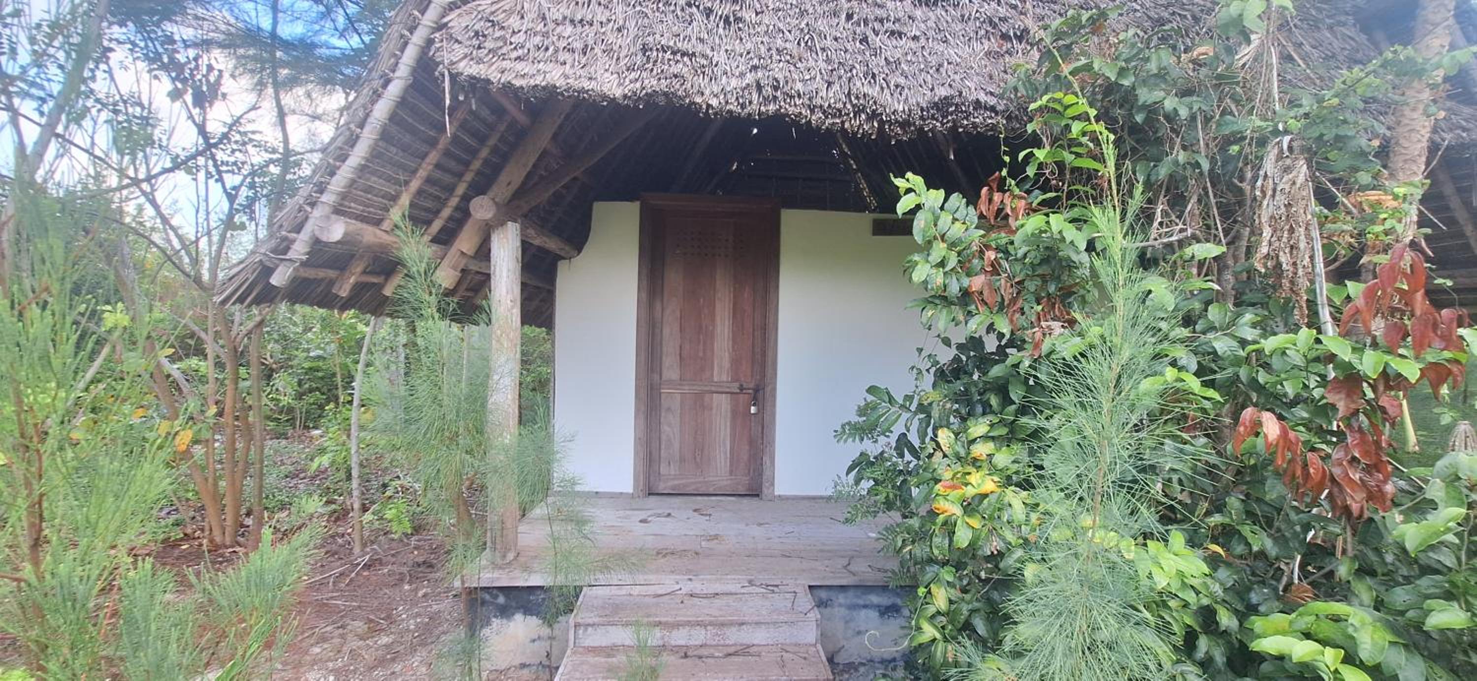 Amerani nyumba
