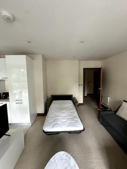 Luxury Battersea Park Residence - Chelsea Bridge - Battersea Power Station