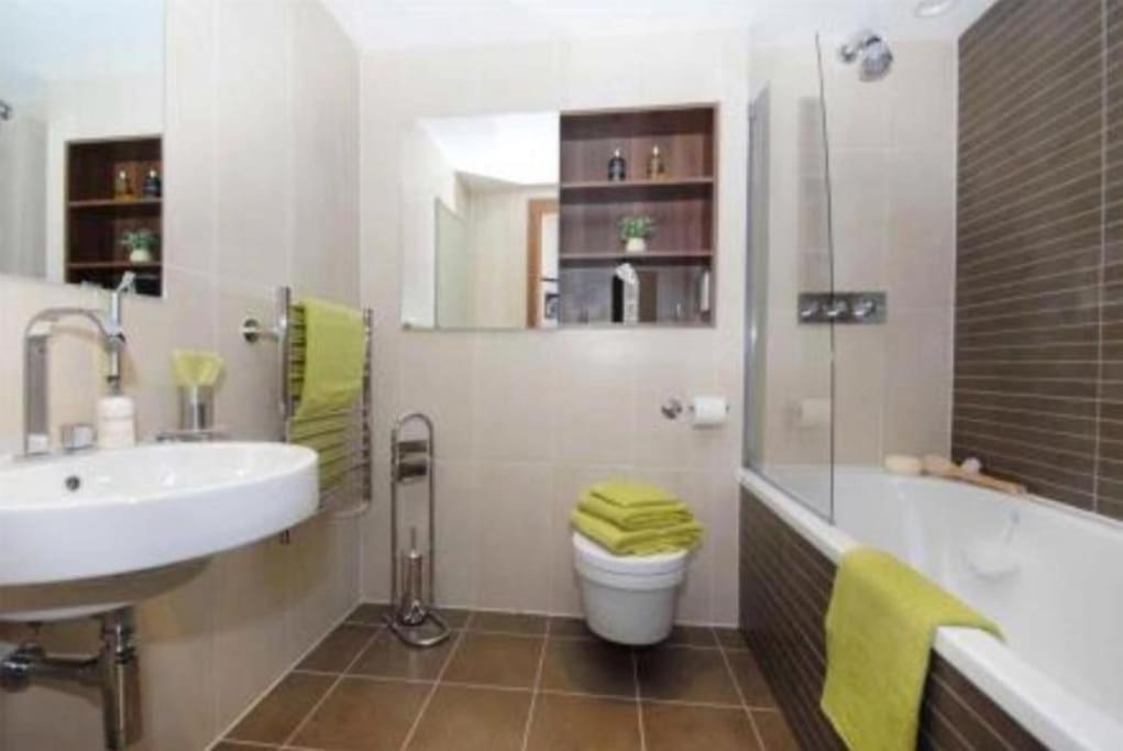 Luxury Battersea Park Residence - Chelsea Bridge - Battersea Power Station