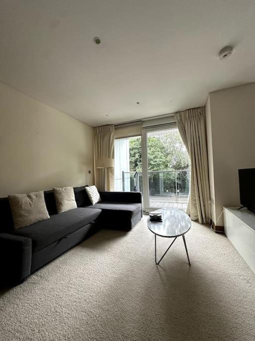 Luxury Battersea Park Residence - Chelsea Bridge - Battersea Power Station