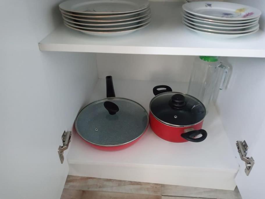 Marine's flat