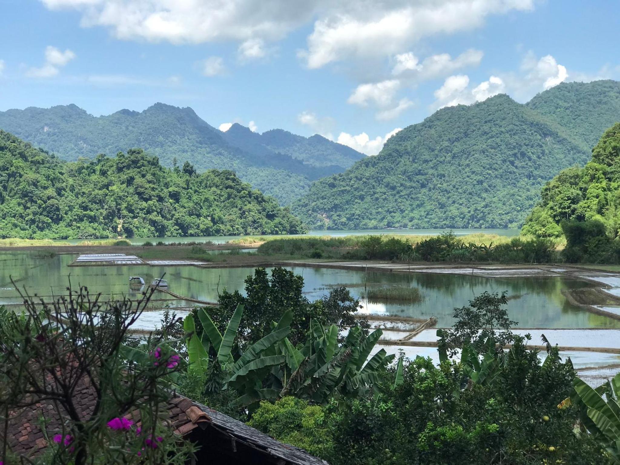Hoàng Quân Homestay view 4
