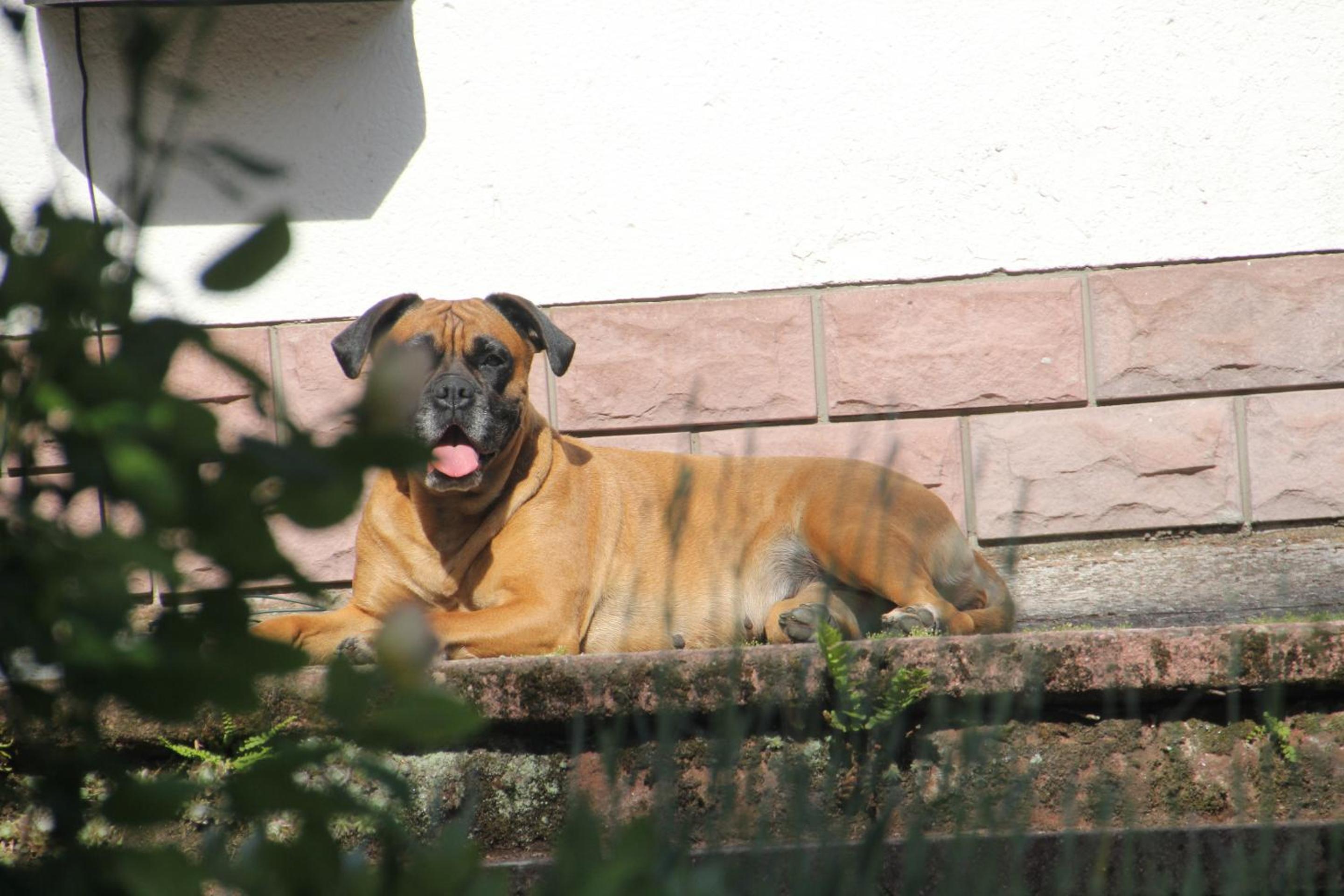 Photo 30