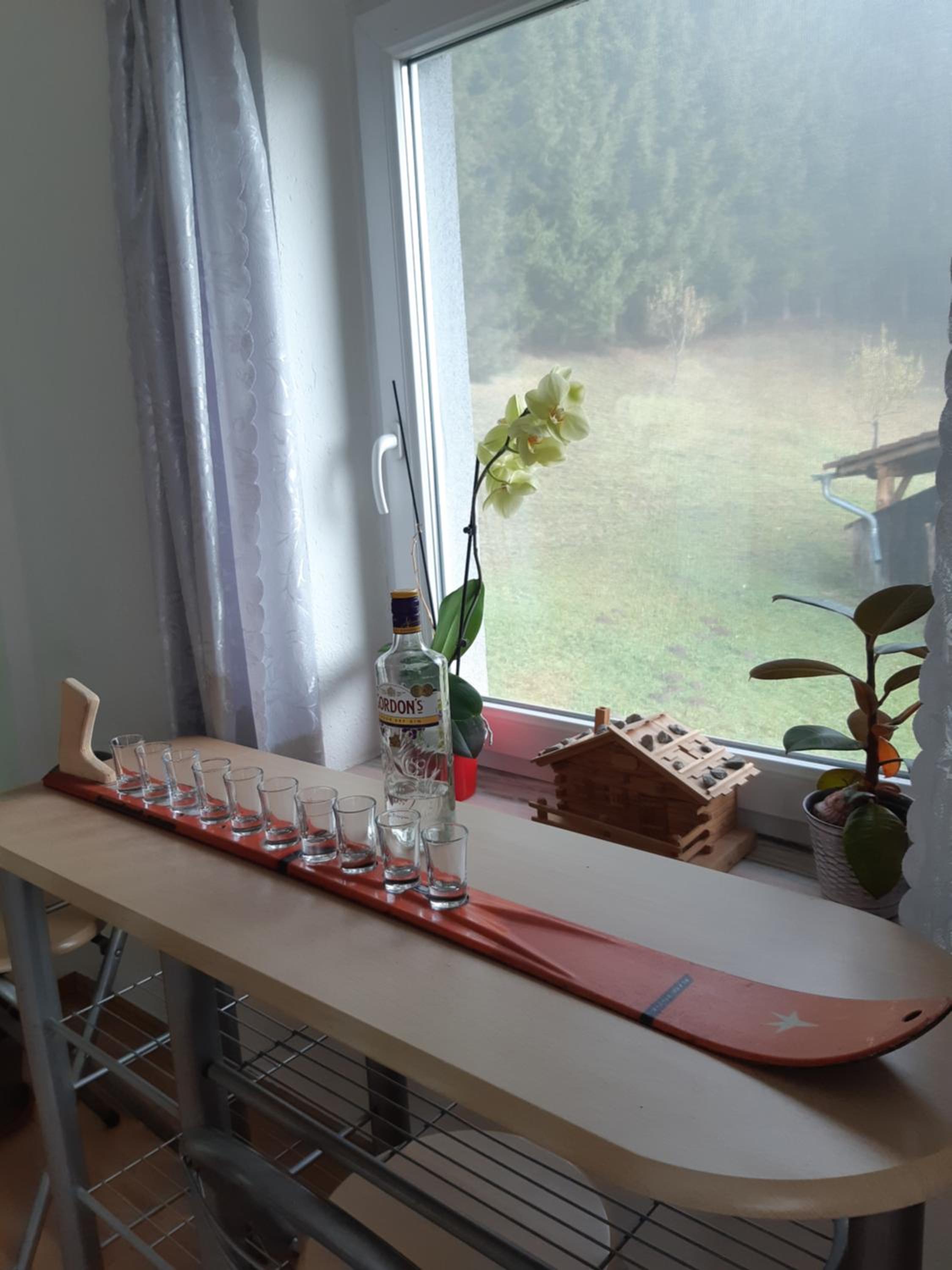 Haus Pinter in Schladming - Dachstein Region