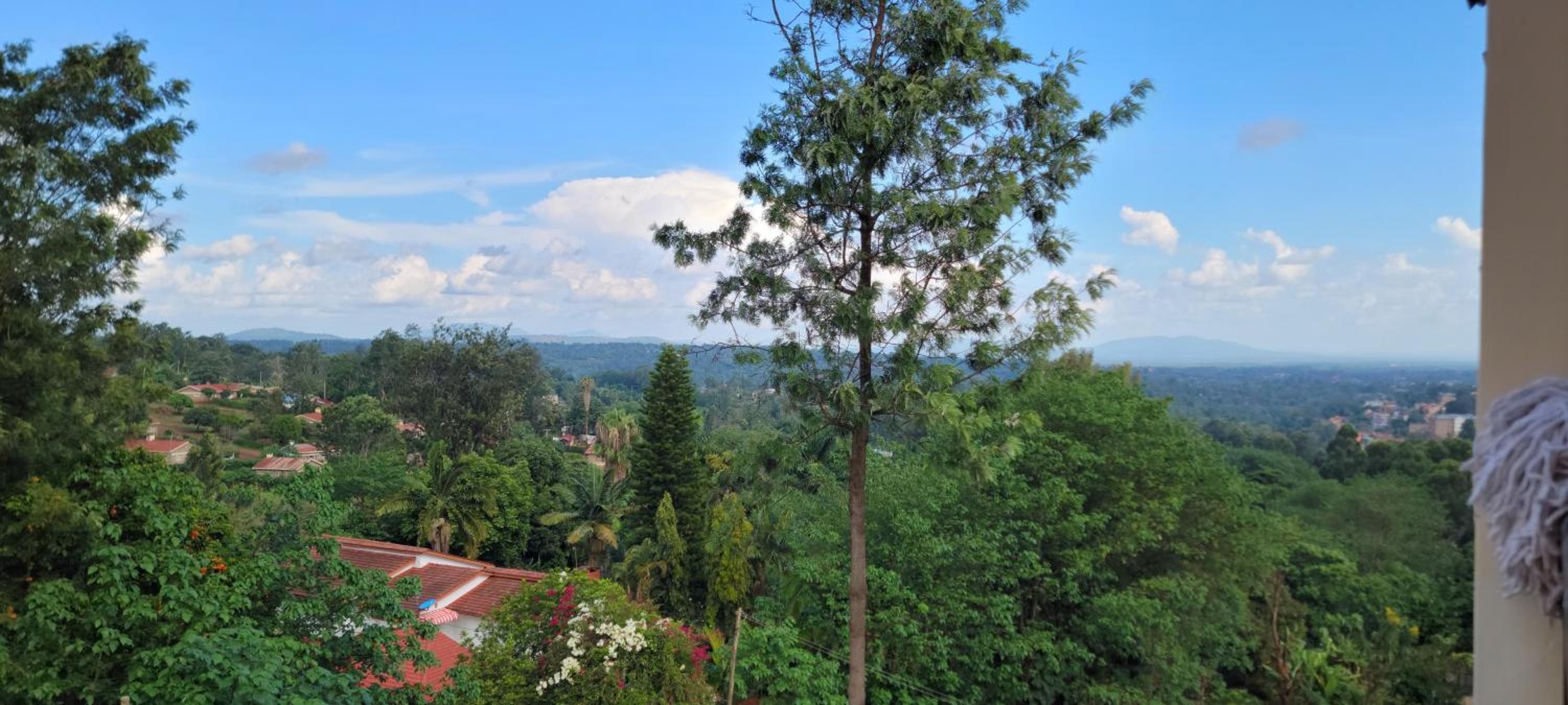 pazuri homestays