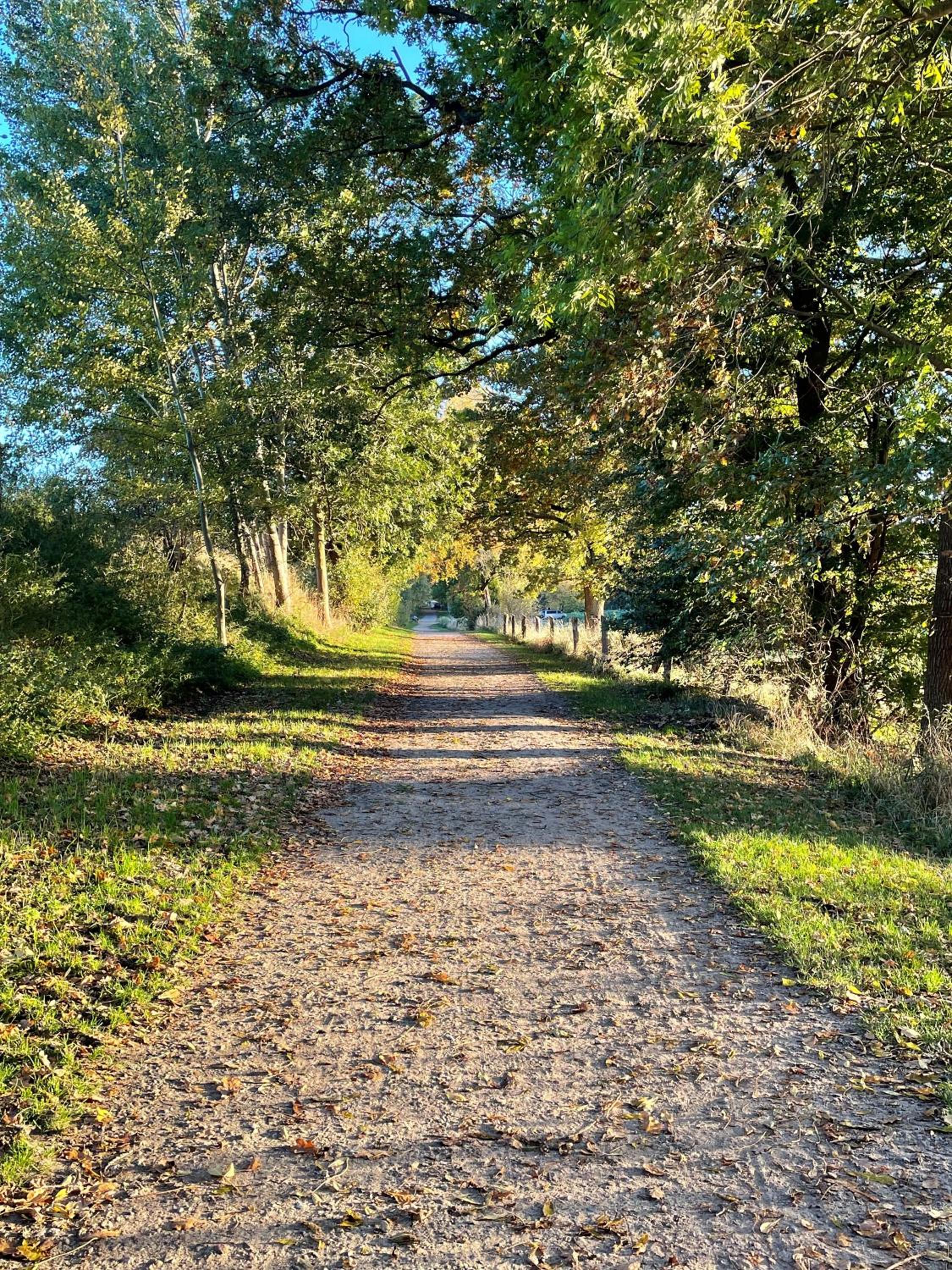 Gut Brook
